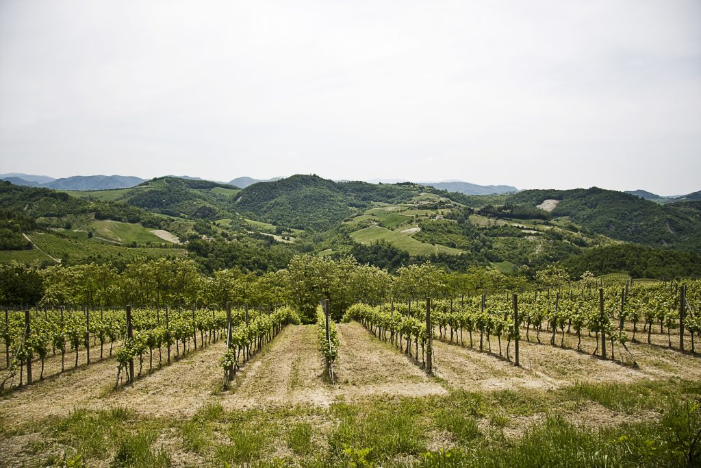 Vinícolas Italianas